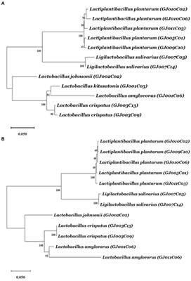 Restriction of growth and biofilm formation of ESKAPE pathogens by caprine gut-derived probiotic bacteria